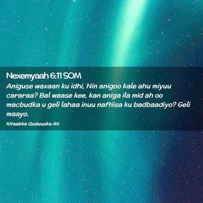 Picture 02 - Nexemyaah 6:11 SOM - Aniguse waxaan ku idhi, Nin anigoo kale ahu miyuu - Bible Verse Picture