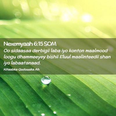 Picture 02 - Nexemyaah 6:15 SOM - Oo sidaasaa derbigii laba iyo konton maalmood - Bible Verse Picture