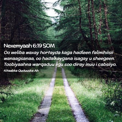 Picture 02 - Nexemyaah 6:19 SOM - Oo weliba waxay hortayda kaga hadleen - Bible Verse Picture