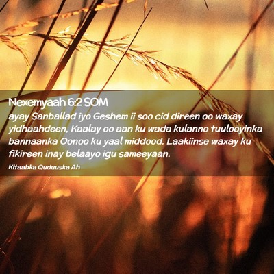 Picture 02 - Nexemyaah 6:2 SOM - ayay Sanballad iyo Geshem ii soo cid direen oo - Bible Verse Picture