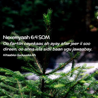 Picture 02 - Nexemyaah 6:4 SOM - Oo fartiin caynkaas ah ayay afar jeer ii soo - Bible Verse Picture