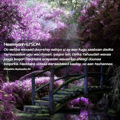 Picture 02 - Nexemyaah 6:7 SOM - Oo weliba waxaad dooratay nebiyo si ay wax kugu - Bible Verse Picture
