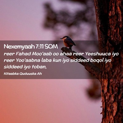 Picture 02 - Nexemyaah 7:11 SOM - reer Fahad Moo'aab oo ahaa reer Yeeshuuca iyo - Bible Verse Picture