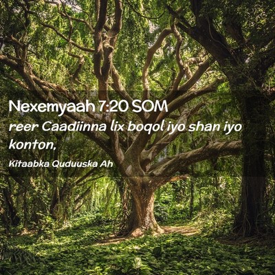 Picture 02 - Nexemyaah 7:20 SOM - reer Caadiinna lix boqol iyo shan iyo - Bible Verse Picture