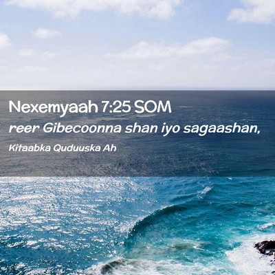 Picture 02 - Nexemyaah 7:25 SOM - reer Gibecoonna shan iyo - Bible Verse Picture