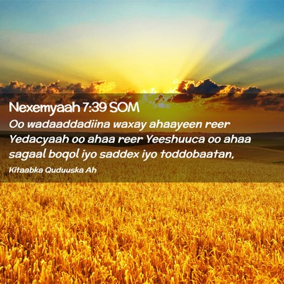 Picture 02 - Nexemyaah 7:39 SOM - Oo wadaaddadiina waxay ahaayeen reer Yedacyaah oo - Bible Verse Picture