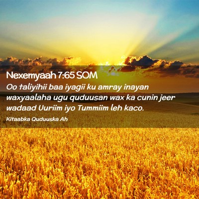 Picture 02 - Nexemyaah 7:65 SOM - Oo taliyihii baa iyagii ku amray inayan - Bible Verse Picture