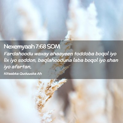 Picture 02 - Nexemyaah 7:68 SOM - Fardahoodu waxay ahaayeen toddoba boqol iyo lix - Bible Verse Picture