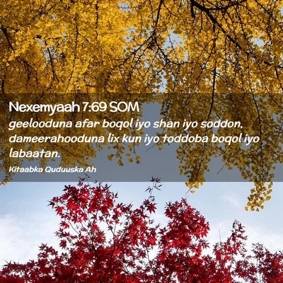 Picture 02 - Nexemyaah 7:69 SOM - geelooduna afar boqol iyo shan iyo soddon, - Bible Verse Picture