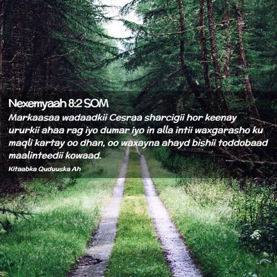 Picture 02 - Nexemyaah 8:2 SOM - Markaasaa wadaadkii Cesraa sharcigii hor keenay - Bible Verse Picture