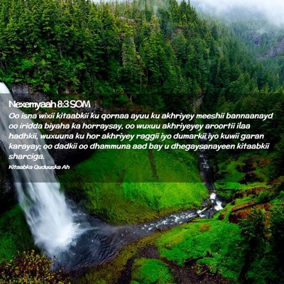 Picture 02 - Nexemyaah 8:3 SOM - Oo isna wixii kitaabkii ku qornaa ayuu ku - Bible Verse Picture