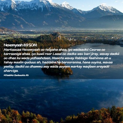 Picture 02 - Nexemyaah 8:9 SOM - Markaasaa Nexemyaah oo taliyaha ahaa, iyo - Bible Verse Picture