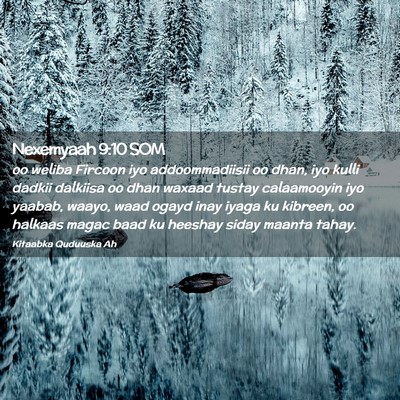 Picture 02 - Nexemyaah 9:10 SOM - oo weliba Fircoon iyo addoommadiisii oo dhan, iyo - Bible Verse Picture