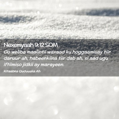Picture 02 - Nexemyaah 9:12 SOM - Oo weliba maalintii waxaad ku hoggaamisay tiir - Bible Verse Picture