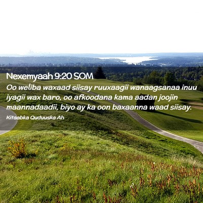 Picture 02 - Nexemyaah 9:20 SOM - Oo weliba waxaad siisay ruuxaagii wanaagsanaa - Bible Verse Picture