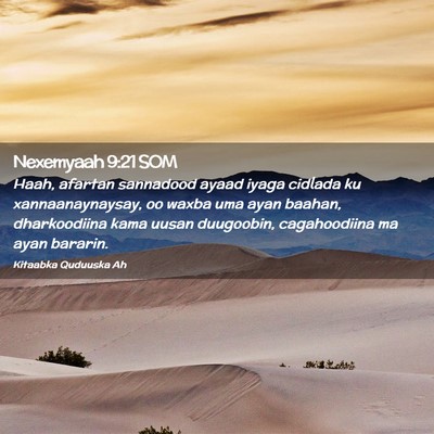 Picture 02 - Nexemyaah 9:21 SOM - Haah, afartan sannadood ayaad iyaga cidlada ku - Bible Verse Picture