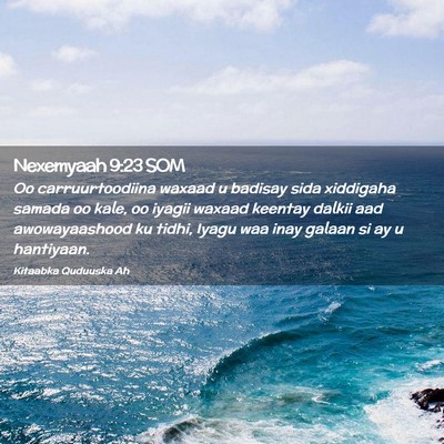 Picture 02 - Nexemyaah 9:23 SOM - Oo carruurtoodiina waxaad u badisay sida - Bible Verse Picture