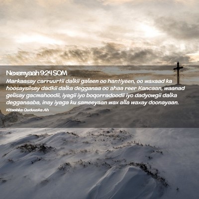 Picture 02 - Nexemyaah 9:24 SOM - Markaasay carruurtii dalkii galeen oo hantiyeen, - Bible Verse Picture