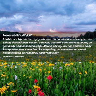 Picture 02 - Nexemyaah 9:28 SOM - Laakiin markay nasteen ayay wax shar ah hortaada - Bible Verse Picture