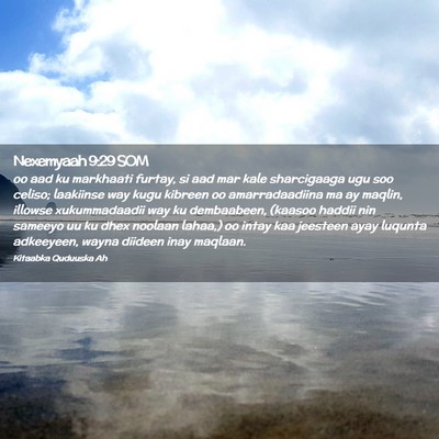 Picture 02 - Nexemyaah 9:29 SOM - oo aad ku markhaati furtay, si aad mar kale - Bible Verse Picture