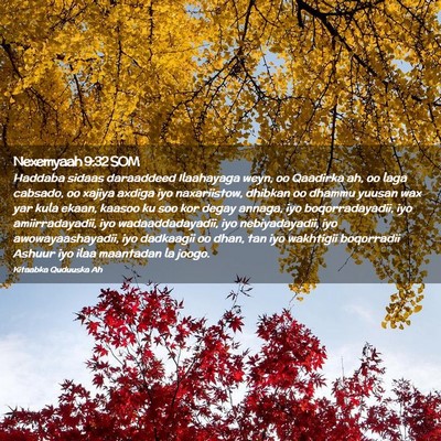 Picture 02 - Nexemyaah 9:32 SOM - Haddaba sidaas daraaddeed Ilaahayaga weyn, oo - Bible Verse Picture