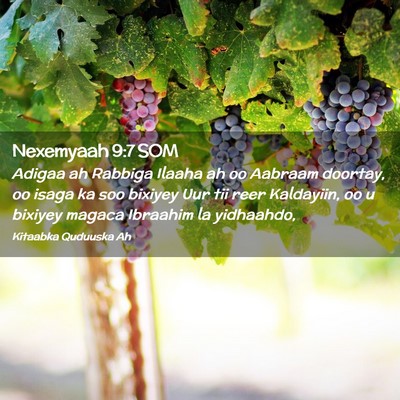 Picture 02 - Nexemyaah 9:7 SOM - Adigaa ah Rabbiga Ilaaha ah oo Aabraam doortay, - Bible Verse Picture