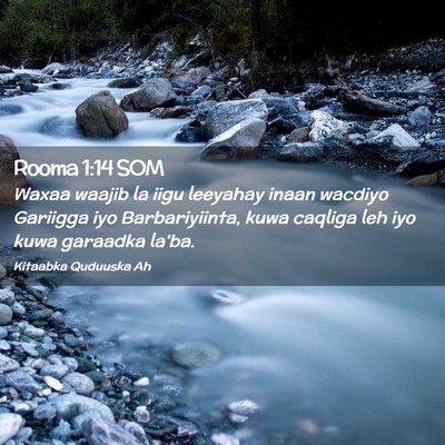 Picture 02 - Rooma 1:14 SOM - Waxaa waajib la iigu leeyahay inaan wacdiyo - Bible Verse Picture