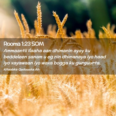 Picture 02 - Rooma 1:23 SOM - Ammaantii Ilaaha aan dhimanin ayay ku beddeleen - Bible Verse Picture