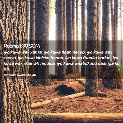 Picture 02 - Rooma 1:30 SOM - iyo kuwa wax xanta, iyo kuwa Ilaah neceb, iyo - Bible Verse Picture