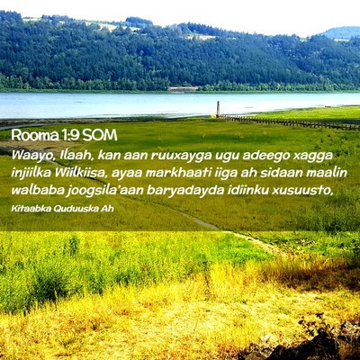 Picture 02 - Rooma 1:9 SOM - Waayo, Ilaah, kan aan ruuxayga ugu adeego xagga - Bible Verse Picture