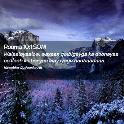 Picture 02 - Rooma 10:1 SOM - Walaalayaalow, waxaan qalbigayga ka doonayaa oo - Bible Verse Picture