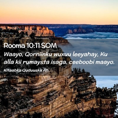 Picture 02 - Rooma 10:11 SOM - Waayo, Qorniinku wuxuu leeyahay, Ku alla kii - Bible Verse Picture
