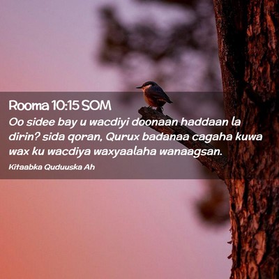 Picture 02 - Rooma 10:15 SOM - Oo sidee bay u wacdiyi doonaan haddaan la dirin? - Bible Verse Picture