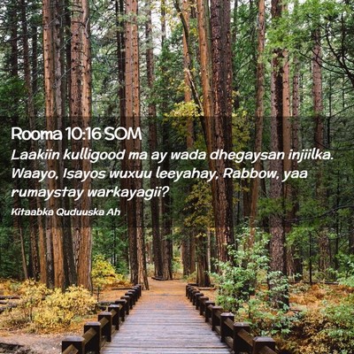 Picture 02 - Rooma 10:16 SOM - Laakiin kulligood ma ay wada dhegaysan injiilka. - Bible Verse Picture