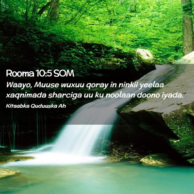 Picture 02 - Rooma 10:5 SOM - Waayo, Muuse wuxuu qoray in ninkii yeelaa - Bible Verse Picture