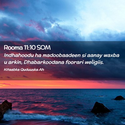 Picture 02 - Rooma 11:10 SOM - Indhahoodu ha madoobaadeen si aanay waxba u - Bible Verse Picture