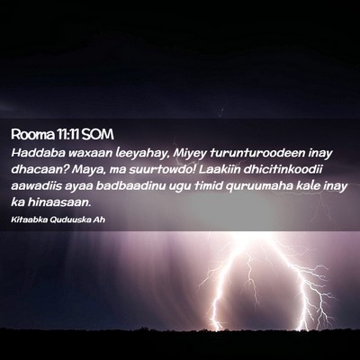 Picture 02 - Rooma 11:11 SOM - Haddaba waxaan leeyahay, Miyey turunturoodeen - Bible Verse Picture