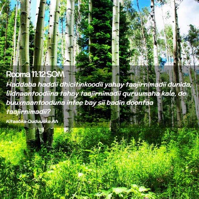 Picture 02 - Rooma 11:12 SOM - Haddaba haddii dhicitinkoodii yahay taajirnimadii - Bible Verse Picture