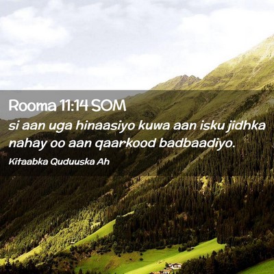 Picture 02 - Rooma 11:14 SOM - si aan uga hinaasiyo kuwa aan isku jidhka nahay - Bible Verse Picture