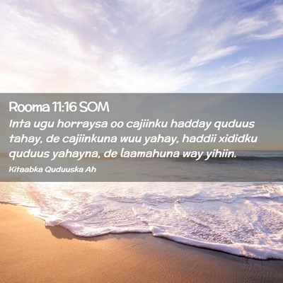 Picture 02 - Rooma 11:16 SOM - Inta ugu horraysa oo cajiinku hadday quduus - Bible Verse Picture