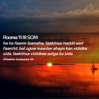Picture 02 - Rooma 11:18 SOM - ha ka faanin laamaha, laakiinse haddii aad - Bible Verse Picture