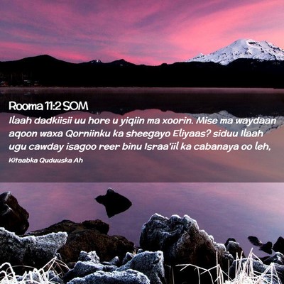 Picture 02 - Rooma 11:2 SOM - Ilaah dadkiisii uu hore u yiqiin ma xoorin. Mise - Bible Verse Picture