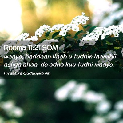 Picture 02 - Rooma 11:21 SOM - waayo, haddaan Ilaah u tudhin laamihii asliga - Bible Verse Picture