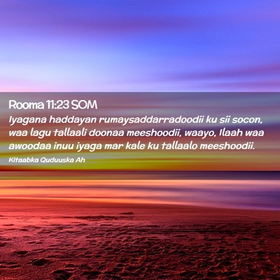 Picture 02 - Rooma 11:23 SOM - Iyagana haddayan rumaysaddarradoodii ku sii - Bible Verse Picture