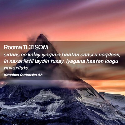 Picture 02 - Rooma 11:31 SOM - sidaas oo kalay iyaguna haatan caasi u noqdeen, - Bible Verse Picture