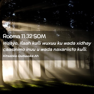 Picture 02 - Rooma 11:32 SOM - Waayo, Ilaah kulli wuxuu ku wada xidhay caasinimo - Bible Verse Picture