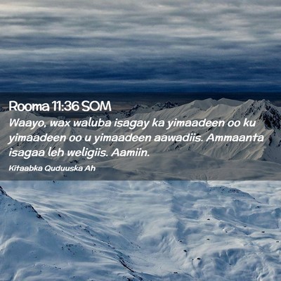 Picture 02 - Rooma 11:36 SOM - Waayo, wax waluba isagay ka yimaadeen oo ku - Bible Verse Picture