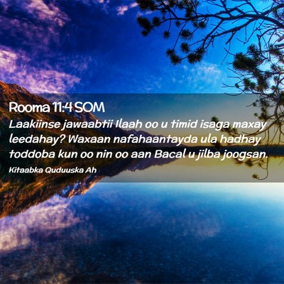 Picture 02 - Rooma 11:4 SOM - Laakiinse jawaabtii Ilaah oo u timid isaga maxay - Bible Verse Picture