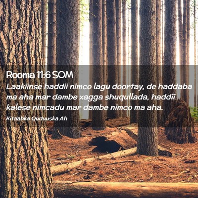 Picture 02 - Rooma 11:6 SOM - Laakiinse haddii nimco lagu doortay, de haddaba - Bible Verse Picture