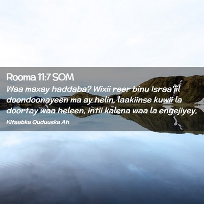 Picture 02 - Rooma 11:7 SOM - Waa maxay haddaba? Wixii reer binu Israa'iil - Bible Verse Picture
